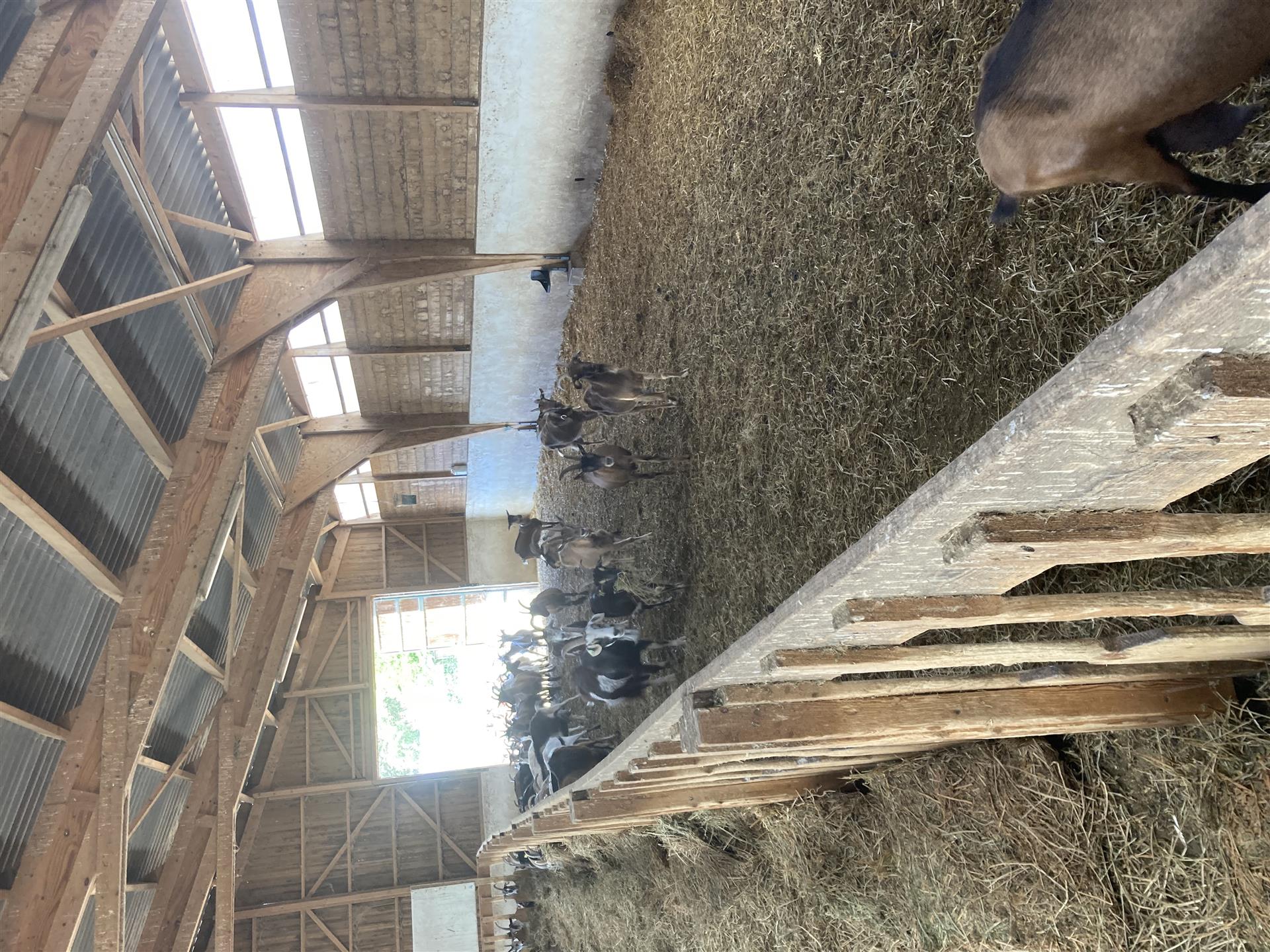 La ferme de Puech Cabrier 