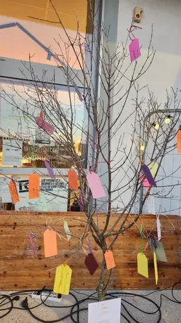 686-biocoop-la-vaunage-magasin-bio-arbre-anniversaire.webp