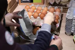 686-biocoop-la-vaunage-magasin-bio-oeuf-local.webp