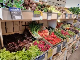legumes.webp